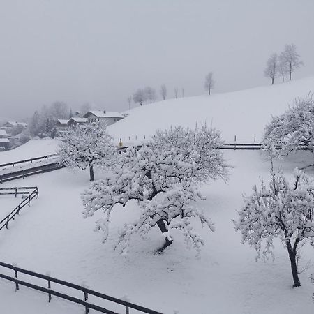 Landidyll Am Thiersee Εξωτερικό φωτογραφία