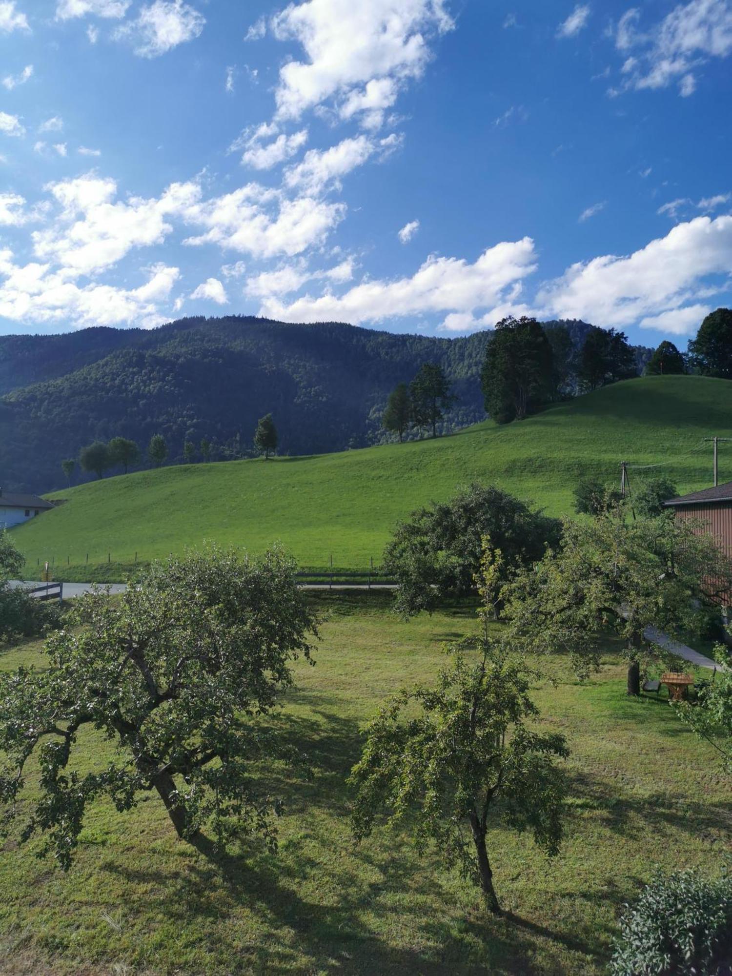 Landidyll Am Thiersee Εξωτερικό φωτογραφία