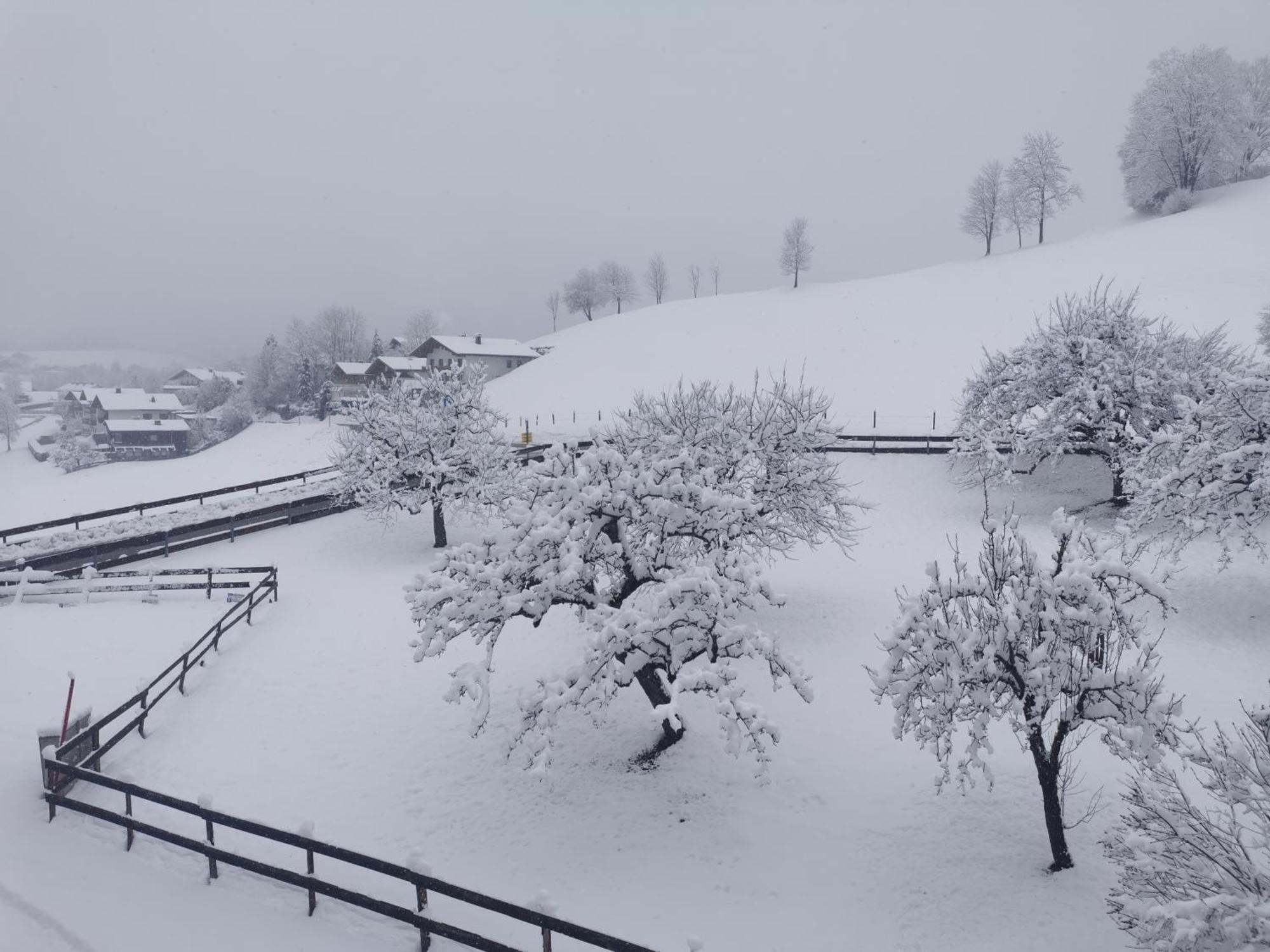 Landidyll Am Thiersee Εξωτερικό φωτογραφία